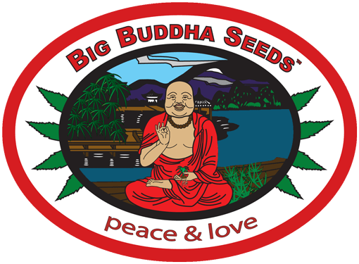 Big Buddha Seeds logo home