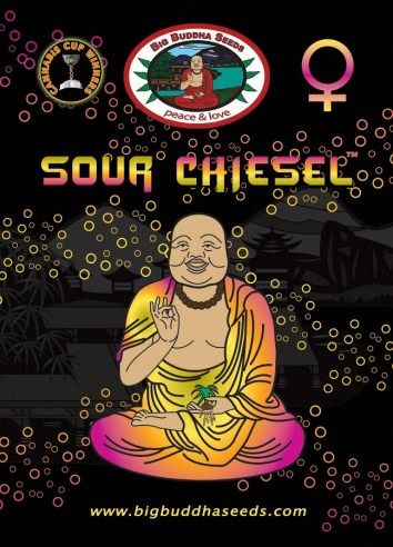 Big Buddha Sour CHIESEL ™