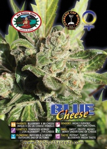 Big Buddha Blue Cheese ®™