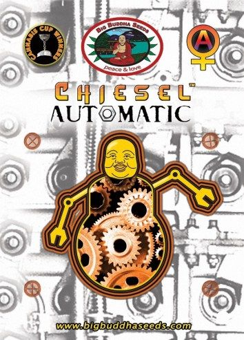 CHIESEL AUTOMATIC ™