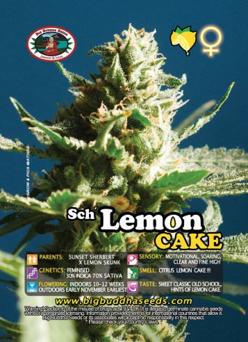 Sch&#38;#38;#39;Lemon Cake