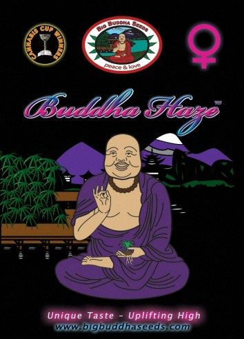Big Buddha Haze ™