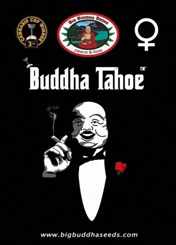 Big Buddha Tahoe OG ™