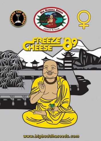 Big Buddha Freeze Cheese '89 ™