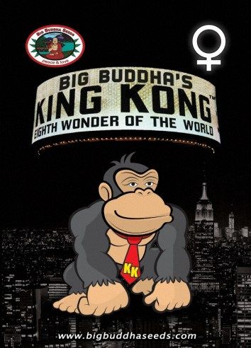 Big Buddha's King Kong ™