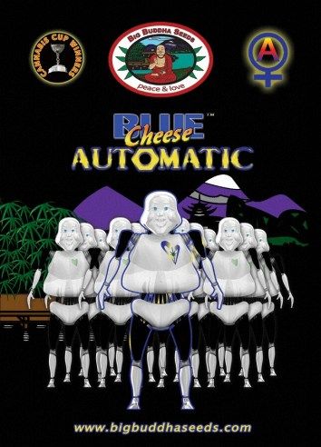Blue Cheese AUTOMATIC ™